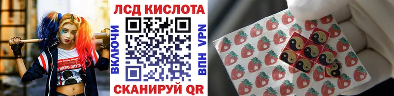Марки N-bome 1,8мг закладка Сасово